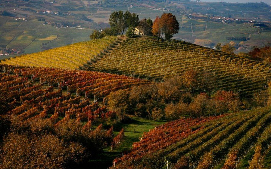 CENA DEGUSTAZIONE  ALLA SCOPERTA DEL PIEMONTE